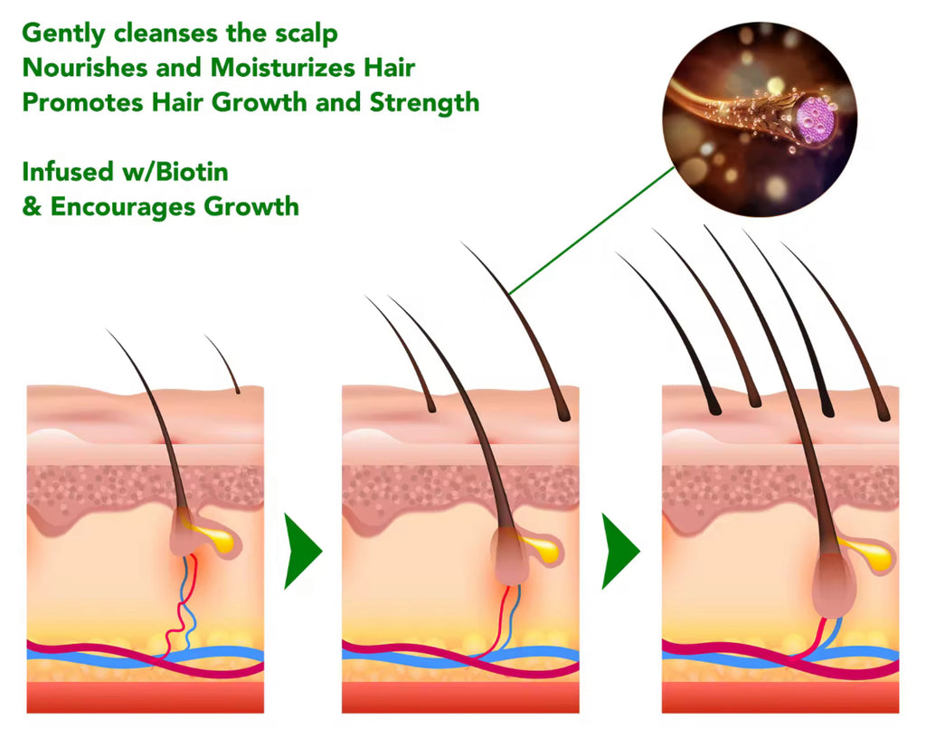 Rosemary Strengthening Shampoo