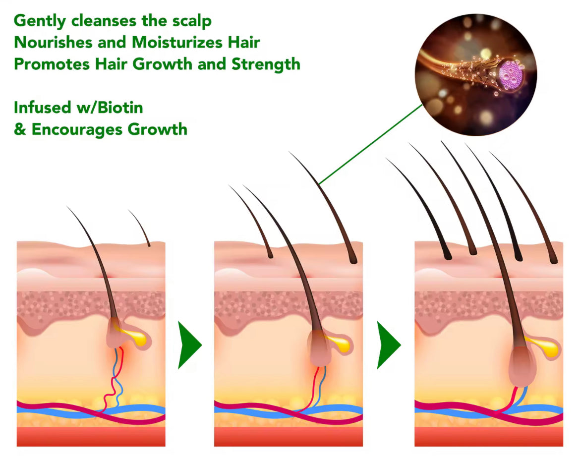 Rosemary Strengthening Shampoo